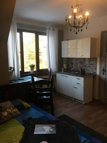 Фото номера Стандартный трехместный номер-студио Загородные дома Apartamenty i pokoje u Staszelów г. Поронин 6