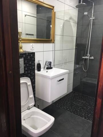 Фото номера Апартаменты с видом на горы Загородные дома Apartamenty i pokoje u Staszelów г. Поронин 6